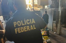 Polícia Federal incinera quatro toneladas de drogas apreendidas em Cascavel