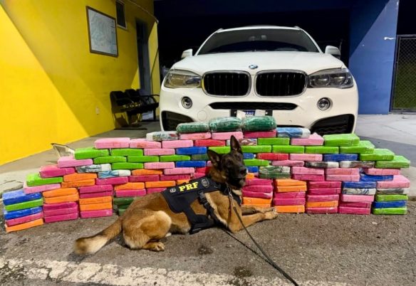 PRF apreende 136 kg de cocaína em BMW X6 na BR-277 em Balsa Nova