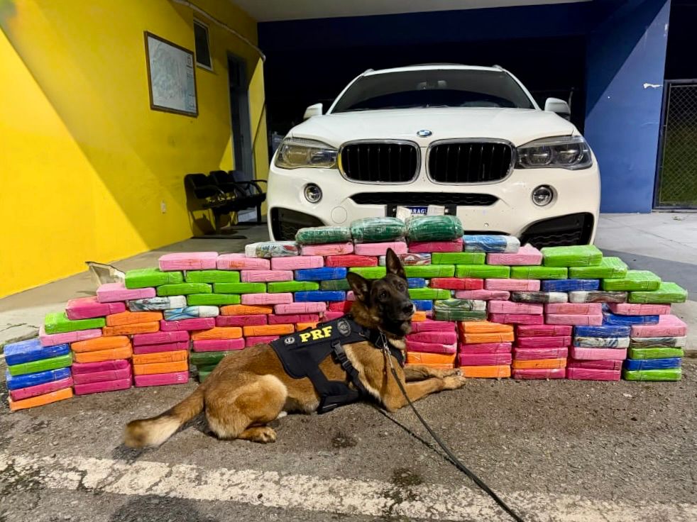 PRF apreende 136 kg de cocaína em BMW X6 na BR-277 em Balsa Nova