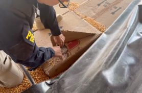 PRF apreende mais de 139 mil maços de cigarros e 53 quilos de maconha na BR-163