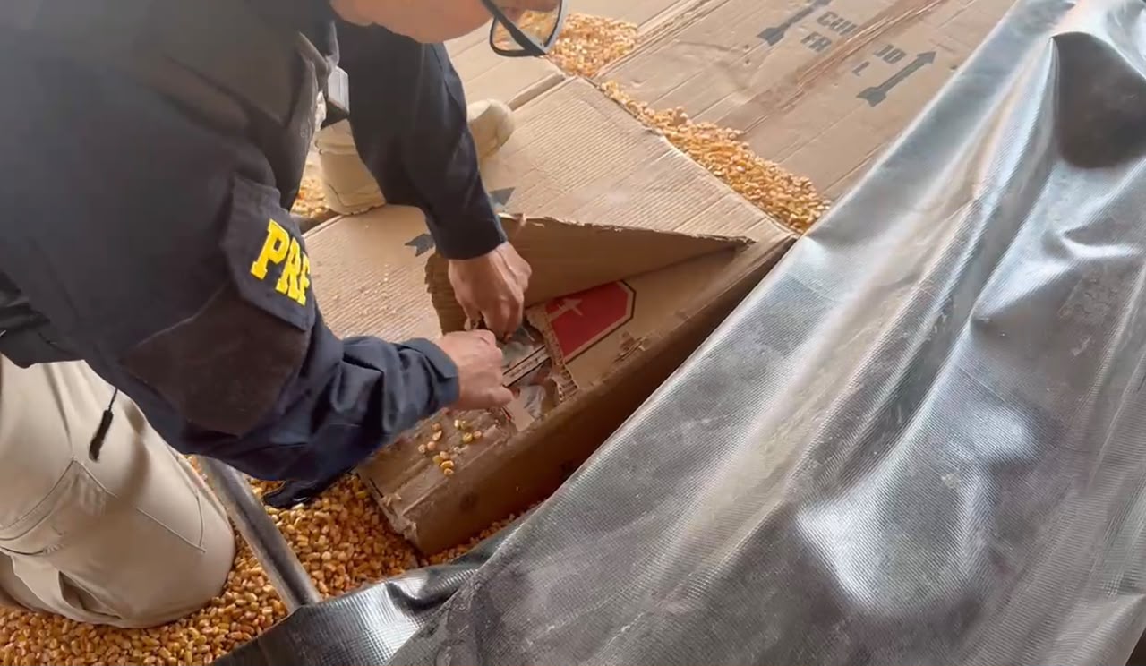 PRF apreende mais de 139 mil maços de cigarros e 53 quilos de maconha na BR-163