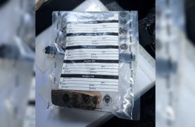 Polícia apreende homem com posse de maconha com homem no Bairro Cascavel Velho, em Cascavel