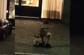 Duas mulheres trocam agressões e rolam no chão durante briga, no Centro de Cascavel