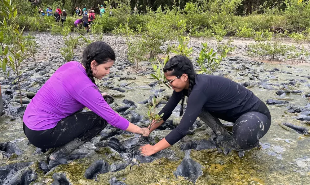 Inscrição de trabalhos no Fórum de Educação Ambiental termina dia 30 Imagem referente a Inscrição de trabalhos no Fórum de Educação Ambiental termina dia 30