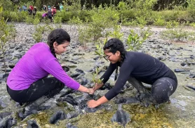 Inscrição de trabalhos no Fórum de Educação Ambiental termina dia 30 Inscrição de trabalhos no Fórum de Educação Ambiental termina dia 30