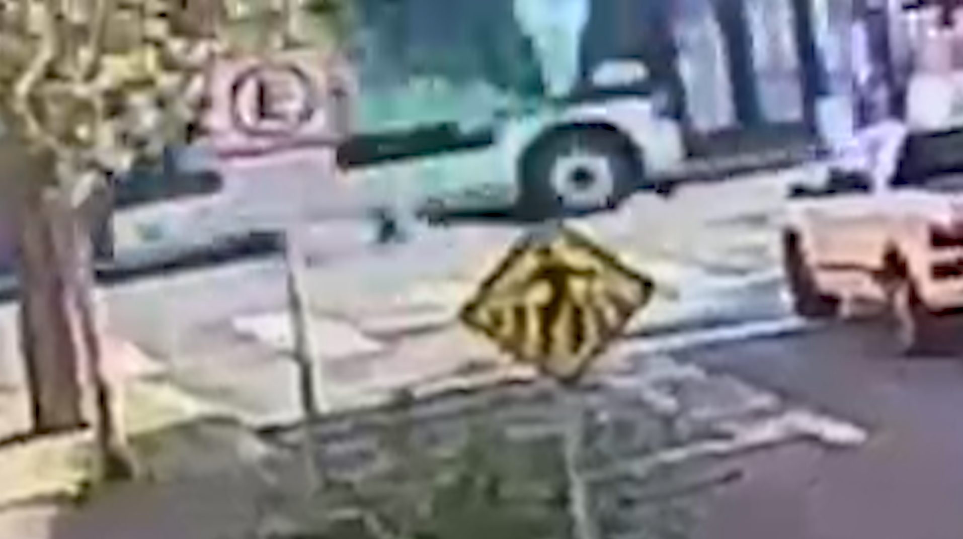 Vídeo mostra que motociclista foi atropelada por ônibus após colisão