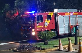 Cobra é encontrada em rua de condomínio e mobiliza Corpo de Bombeiros