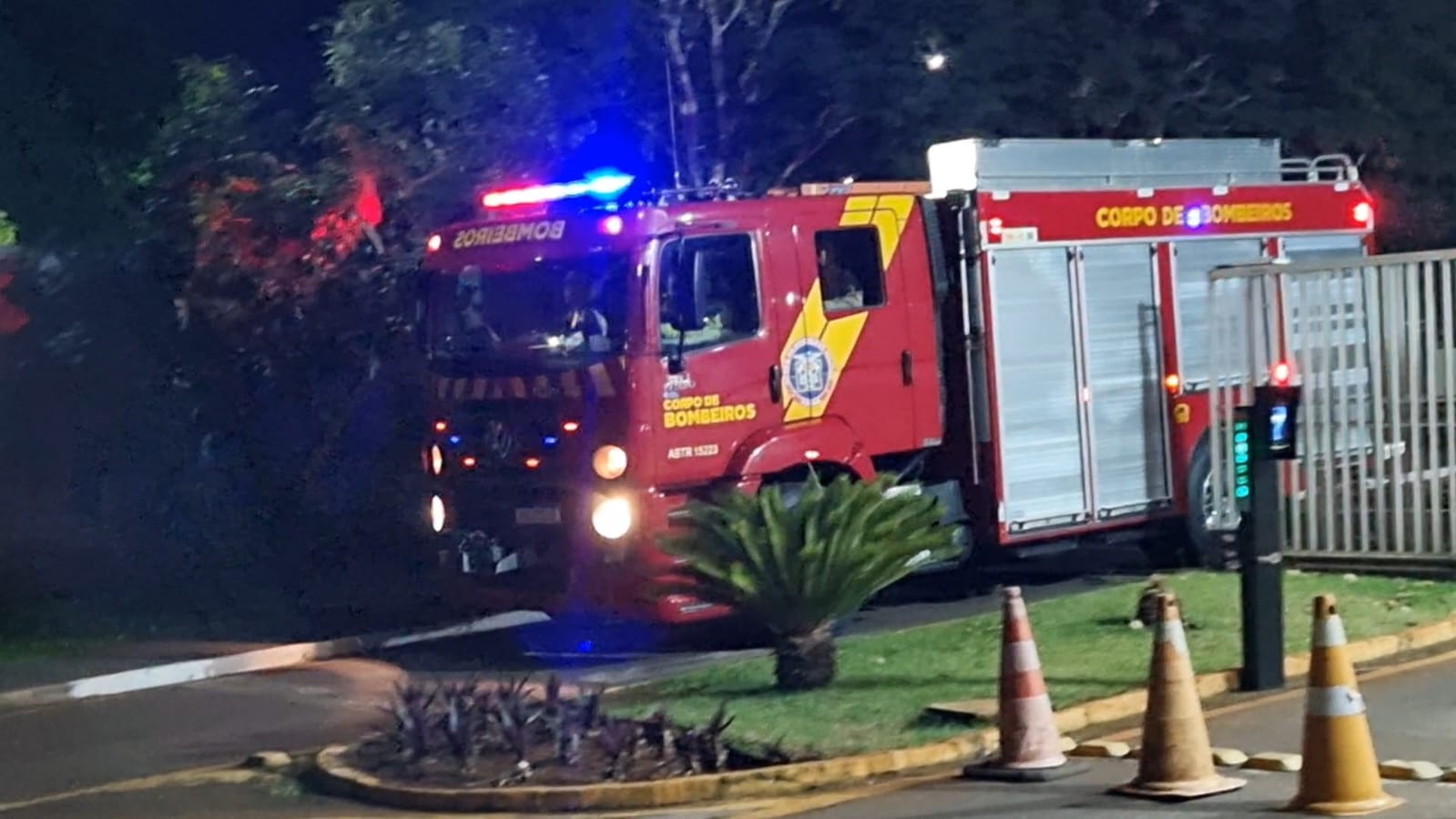 Cobra é encontrada em rua de condomínio e mobiliza Corpo de Bombeiros