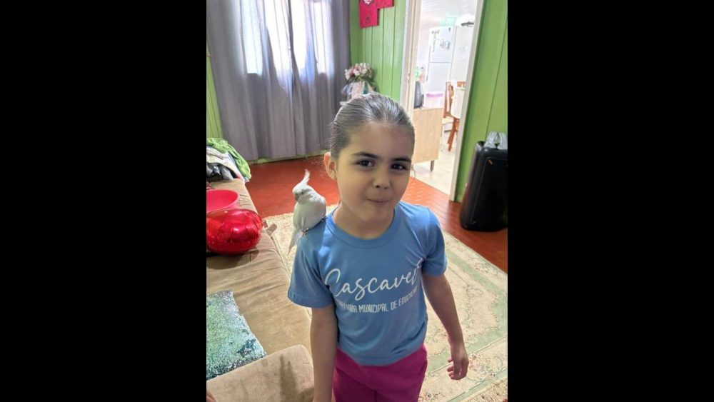 Imagem referente a Calopsita Nino desapareceu no bairro Universitário