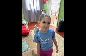 Calopsita Nino desapareceu no bairro Universitário