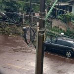 Imagem relativa a Ventos fortes na tarde desta terça-feira (29) derrubam árvore em Palotina