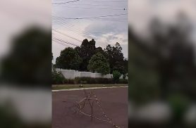 Caminhão arrebenta fiação e moradores ficam sem energia na Rua Paranaguá, em Cascavel