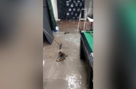 Chuva alaga casa e causa prejuízos a morador do Bairro Morumbi, em Cascavel