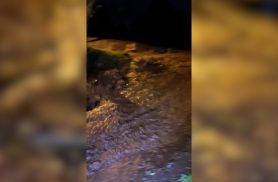 Cascavel registrou o maior volume de chuva entre as estações listadas pelo Simepar nesta terça-feira (29)