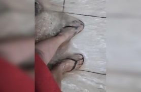 Chuva alaga casa no Bairro Clarito e moradora mostra água dentro do imóvel