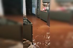 Casas ficam alagadas na Avenida Cardeal após chuva em Cascavel Casas ficam alagadas na Avenida Cardeal após chuva em Cascavel