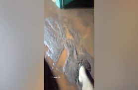 Bueiro não vence volume de chuva e barro invade casas no Interlagos, em Cascavel Bueiro não vence volume de chuva e barro invade casas no Interlagos, em Cascavel