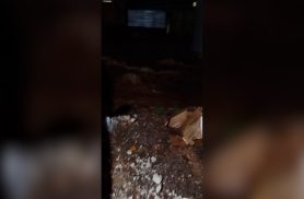 Chuva intensa alaga rua no bairro Floresta em Cascavel Chuva intensa alaga rua no bairro Floresta em Cascavel
