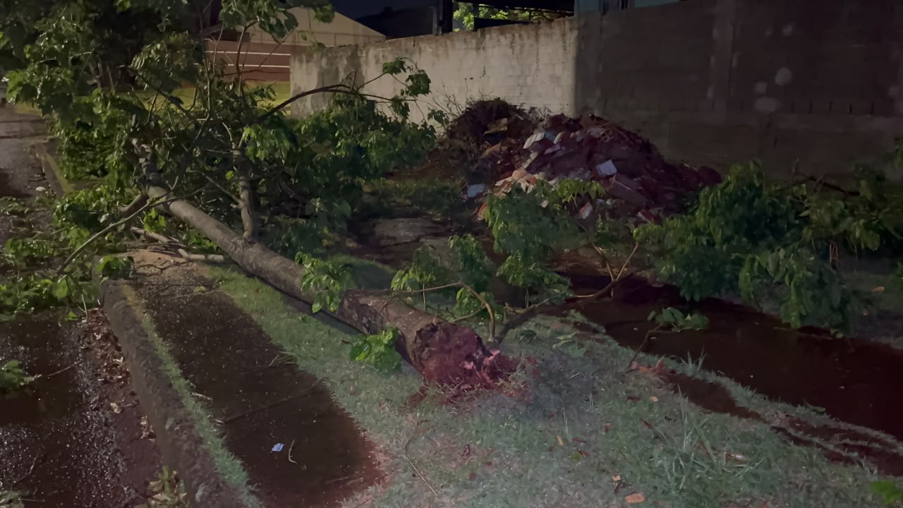 Forte chuva derruba árvores e mobiliza Bombeiros no bairro Floresta em Cascavel