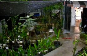 Impressionante! Imagem mostra chuva invadindo casa no Bairro Floresta e destruindo o que havia no quintal