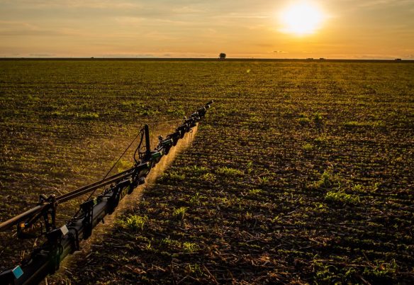 Seguro rural: novas regras ampliam cobertura e proteção ao produtor
