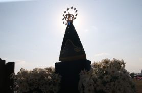 Dino manda PF investigar disseminação de ataques a imagens católicas 