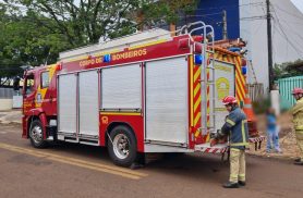 Bombeiros são acionados após árvore cair sobre portão