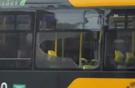 Passageiro de ônibus morre baleado durante ação policial Passageiro de ônibus morre baleado durante ação policial