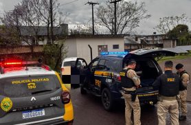 PRF apreende 156 kg de maconha após perseguição em Cascavel