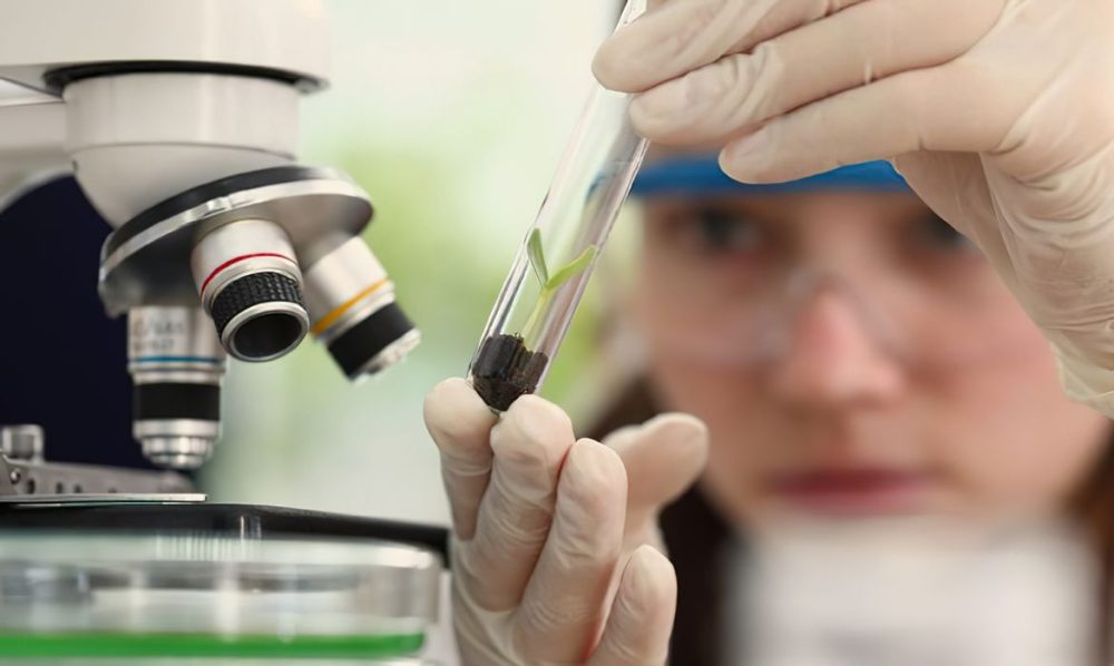 Imagem referente a Imersão científica leva alunas e professoras a centros tecnológicos