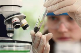 Imersão científica leva alunas e professoras a centros tecnológicos