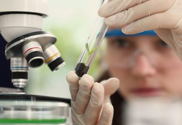 Imersão científica leva alunas e professoras a centros tecnológicos