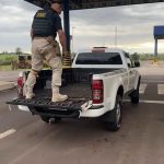 Imagem relativa a PRF apreende haxixe oculto em caminhonete na BR-487, em Alto Paraíso