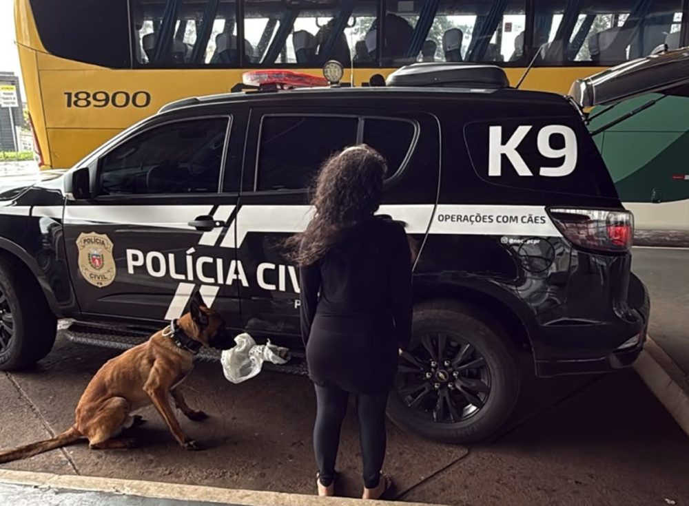 Imagem referente a Mulher traficante é presa com drogas pela Polícia Civil na Rodoviária de Cascavel