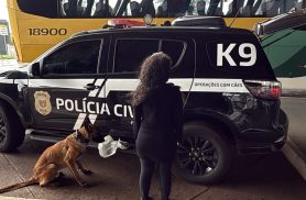 Mulher traficante é presa com drogas pela Polícia Civil na Rodoviária de Cascavel