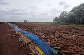 Temporal provoca prejuízo de R$ 2 milhões e destrói estruturas de aviários em Novo Sobradinho