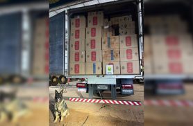 Caminhão-baú com 40 mil pacotes de cigarros contrabandeados é apreendido na PR-486