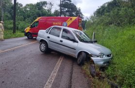 Árvore caída provoca dois acidentes na PR-180, em Cascavel