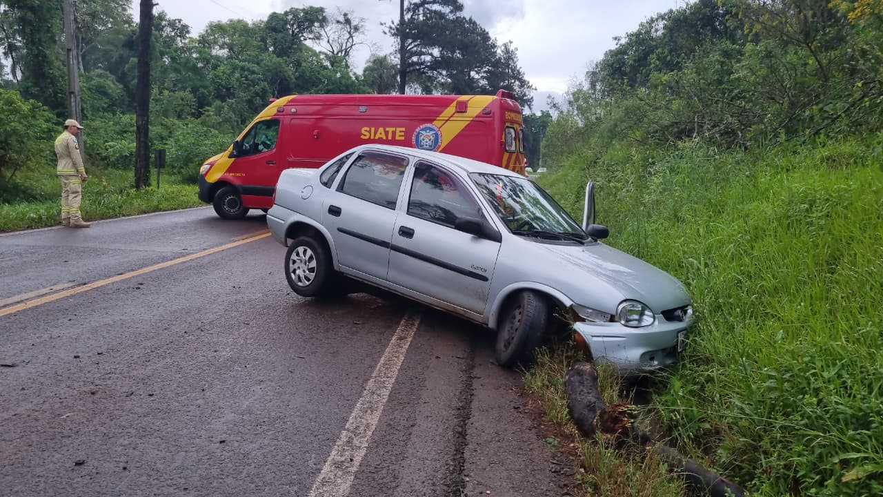 Árvore caída provoca dois acidentes na PR-180, em Cascavel