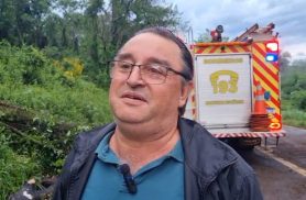 "Eu vinha vindo e a árvore estava no meio da estrada", afirma motorista envolvido em acidente