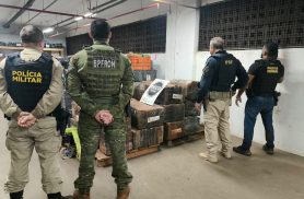 Ação conjunta resulta na apreensão de mais de uma tonelada de maconha em Matelândia