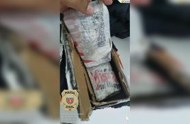 Polícia Civil apreende 2 quilos de maconha em transportadora na BR-277, em Cascavel