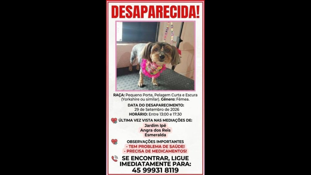 Imagem referente a Cachorra Amora Belinha desapareceu no bairro Esmeralda
