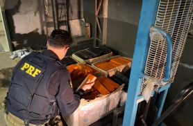 PRF divulga números da apreensão na BR-277 em Cascavel: quase 250 kg de maconha e haxixe