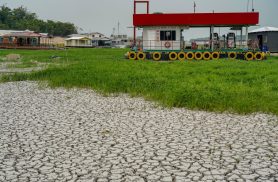 Campanha arrecada alimentos para afetados por seca no Amazonas