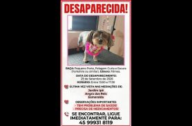 Cachorra Belinha desapareceu no bairro Esmeralda