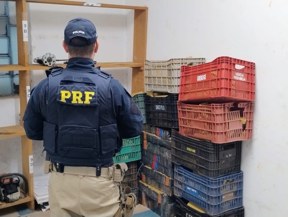Ação conjunta da PF e PRF apreende 377 kg de maconha na BR-277 Imagem referente a Ação conjunta da PF e PRF apreende 377 kg de maconha na BR-277