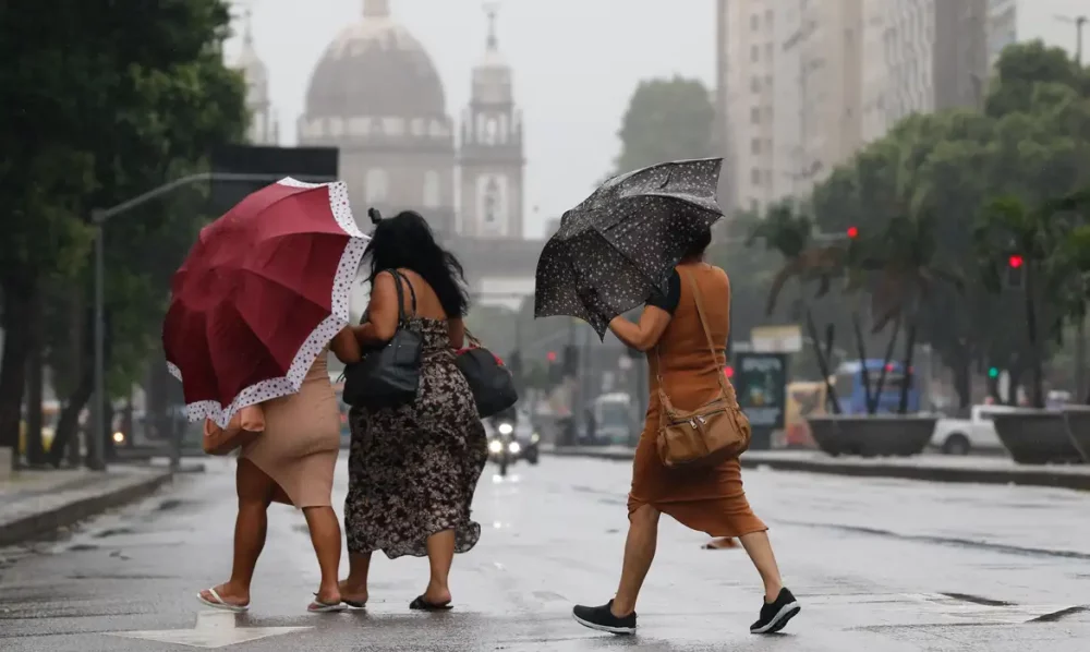 Imagem referente a Defesa Civil Nacional mobiliza equipes para temporais no Sul e Sudeste