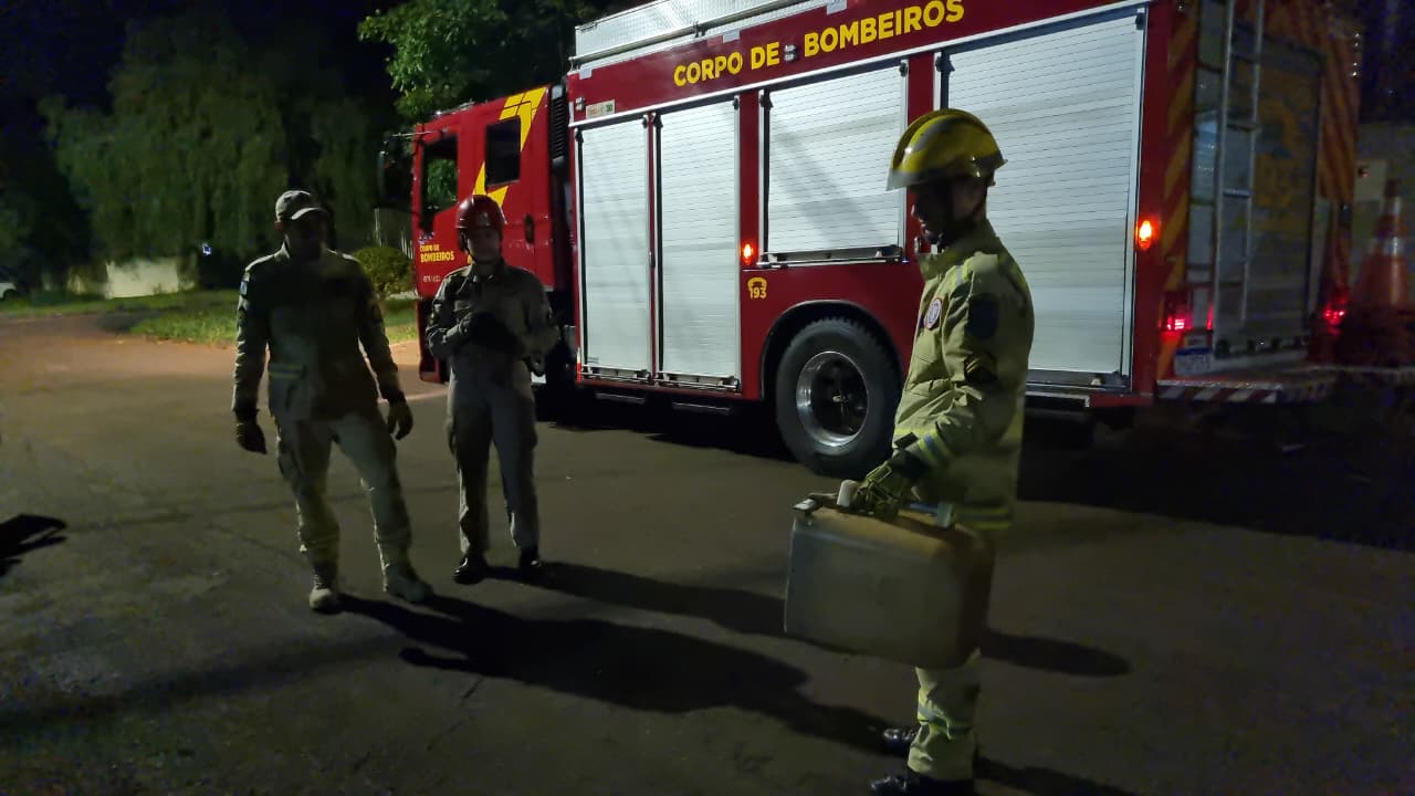 Bombeiros capturam cobra no meio da rua do bairro Universitário, em Cascavel