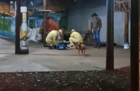 Homem sofre queda e fica ferido na região norte de Cascavel